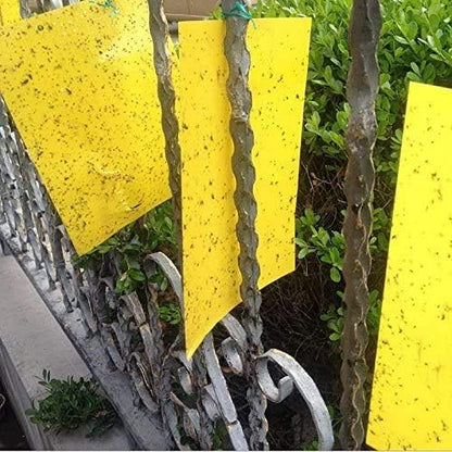 Dual Sided Yellow Sticky Traps for Flying Plant Insect Like Fungus Gnats,